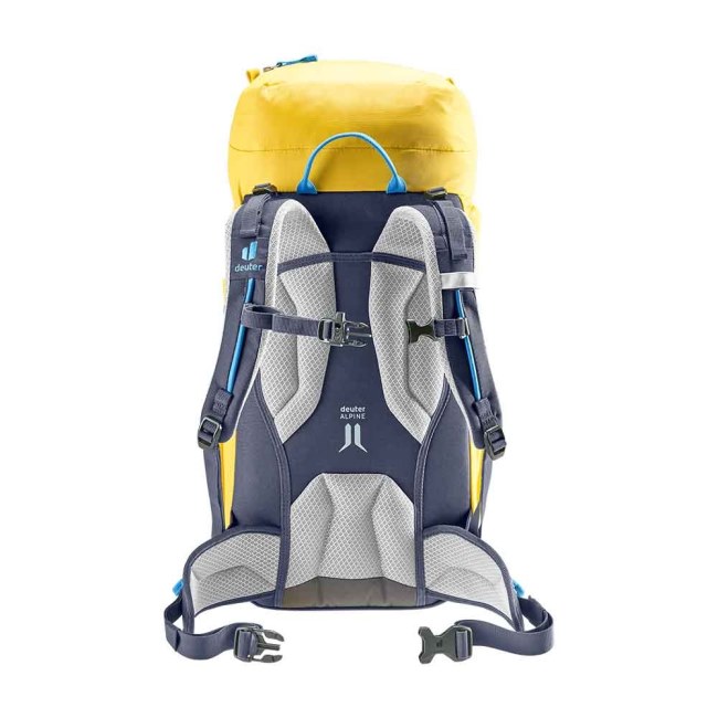 דיוטר מטפס תירס/דיו שרך