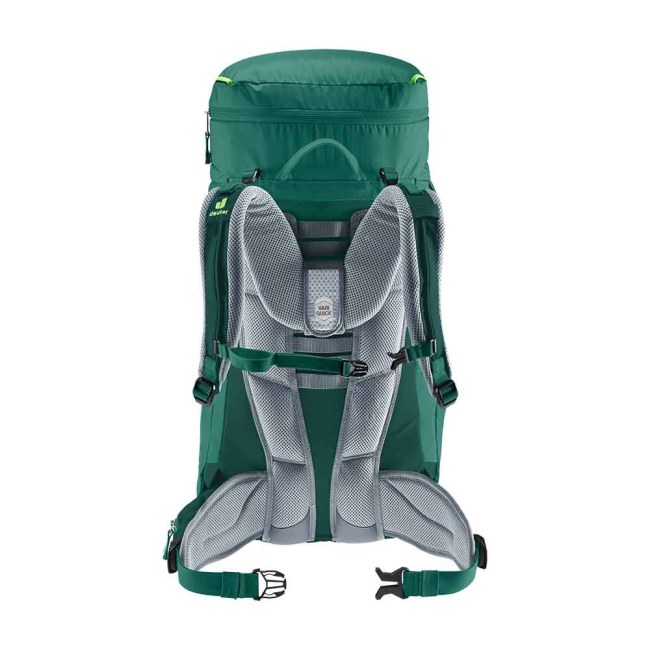 Deuter Alpinegreen-forest/פפריקה-מנדרינה פוקס 40
