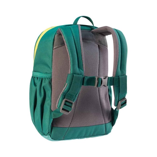 תכלת-לפיס/אבק-כחול-אלפיני-ירוק/ורוד-אודם חם דיוטר פיקו